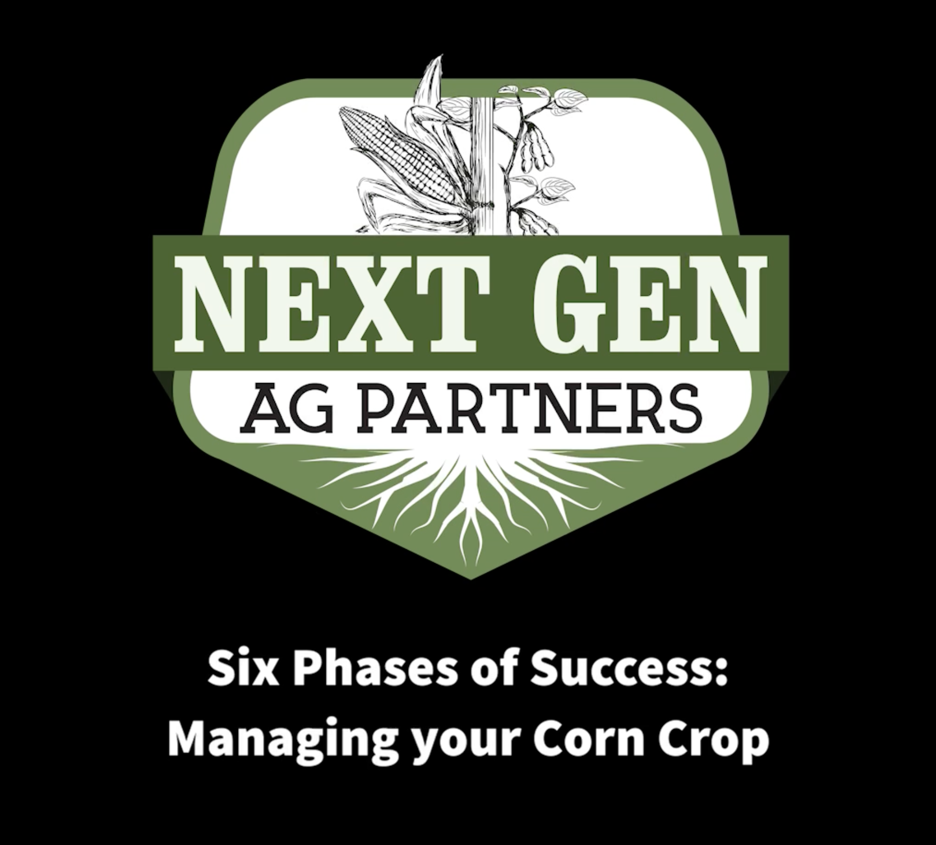 Six Phases of Success_Managing your Corn Crop Title Image